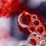 Di dalam tubuh setiap orang, terdapat 3 macam sel darah, yaitu sel darah merah, sel darah putih, dan trombosit. Pada orang yang sehat, sel darah putih yang diproduksi oleh sumsum tulang jumlahnya lebih sedikit dibandingkan dengan produksi sel darah merah.